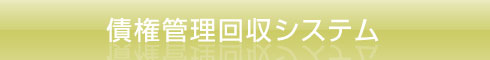 債権管理回収システム